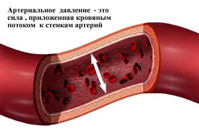 Что-такое-артериальное-давление.jpg