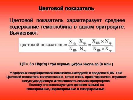 2-47-450x338.jpg