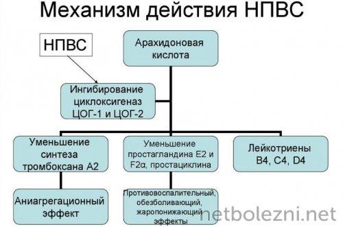 1589539723_mehanizm-dejstvija-npvs.jpg