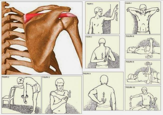 lechebnaya_gimnastika_artroze.jpg