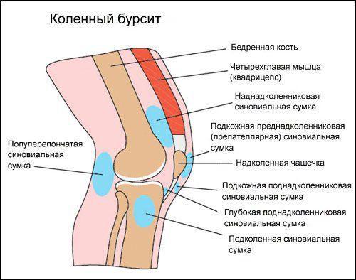 bursy-kolena_s.jpg